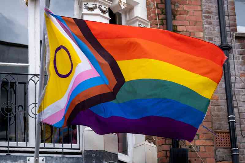 La bandera del Orgullo del Progreso inclusiva para intersexuales presenta franjas adicionales que representan diferentes grupos